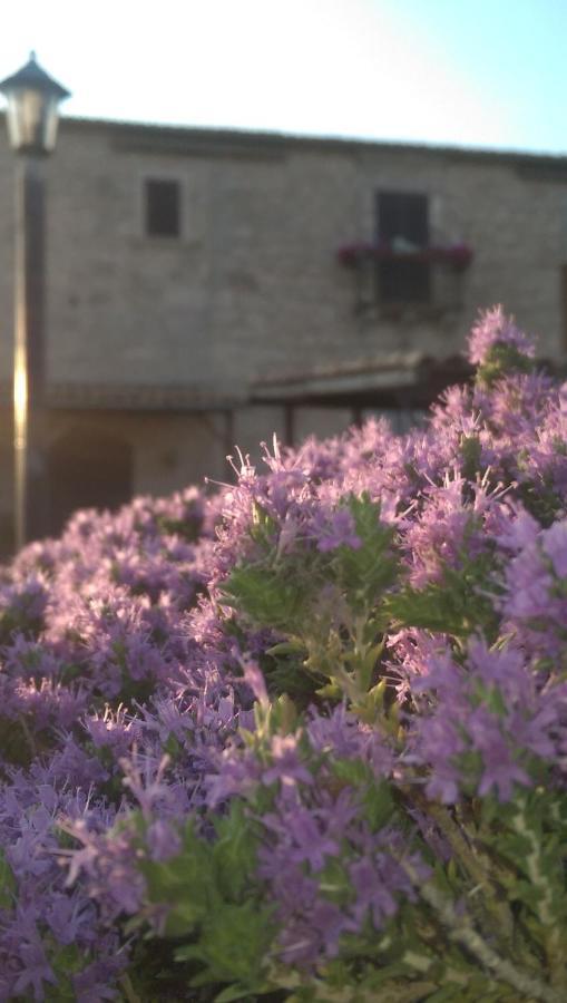 Casale Clemente Beb Bed & Breakfast Ragusa Exterior photo